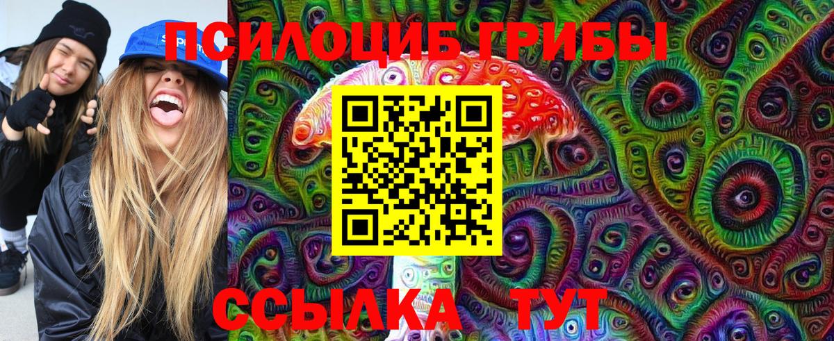 Галлюциногенные грибы Cubensis  Вход с VPN  Псилоцибиновые грибы прущие грибы  Саяногорск 