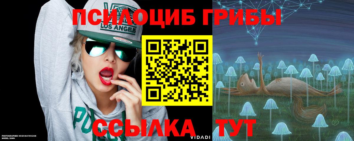 Псилоцибиновые грибы мухоморы Саяногорск